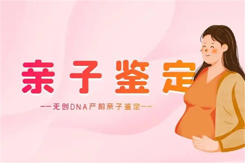 u=3911447658,3093167657&fm=253&fmt=auto&app=138&f=JPEG.jpg