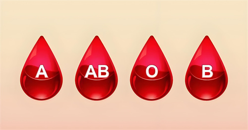 a268da30-7f0e-4a2a-a098-9f1c1a925fda.jpg
